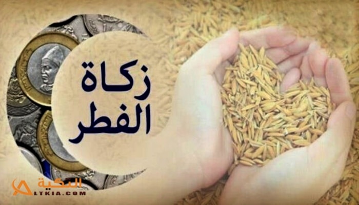 إخراج زكاة الفطر نقدًا