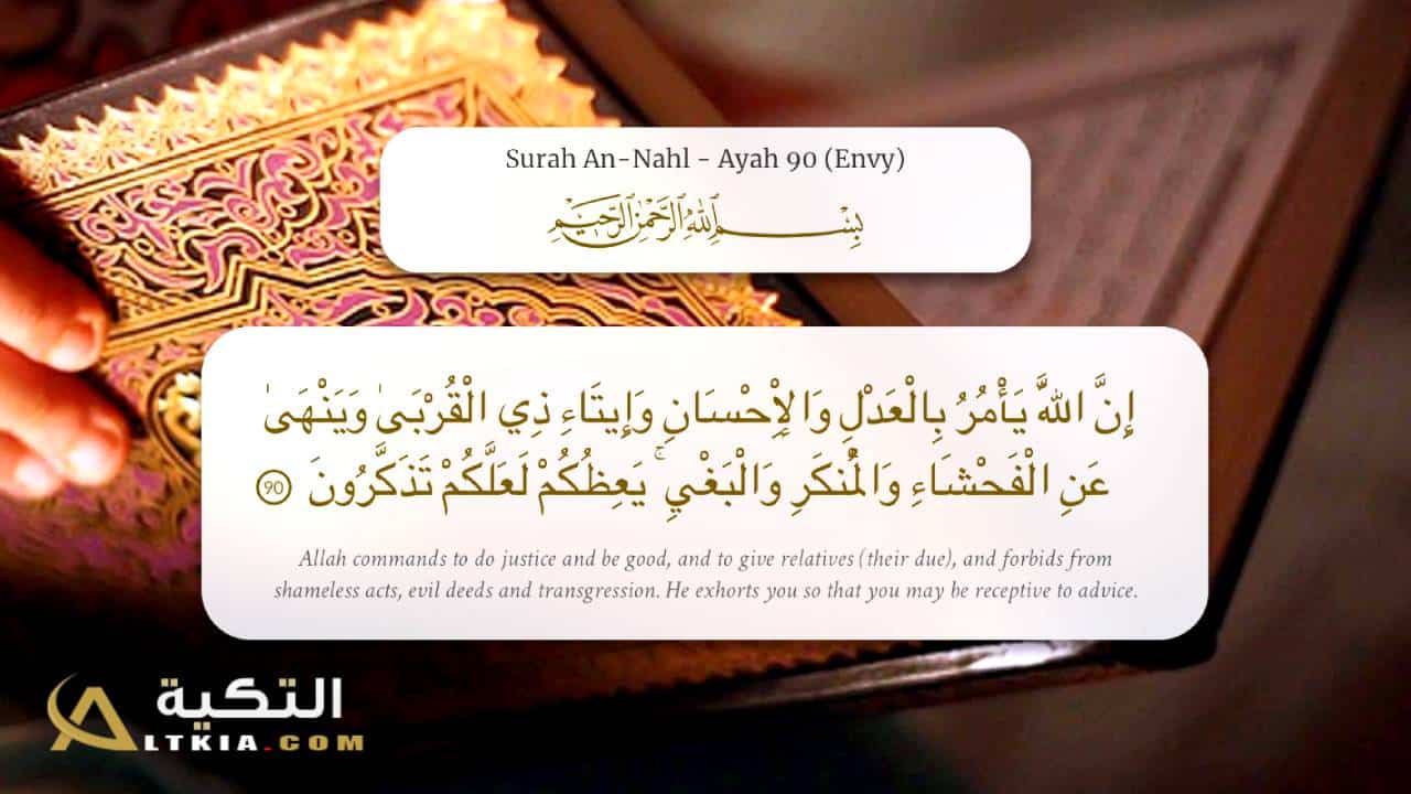 الفرق بين السورة والآية